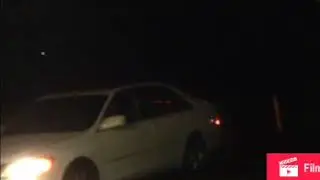 Horn attack pokemon move in real life