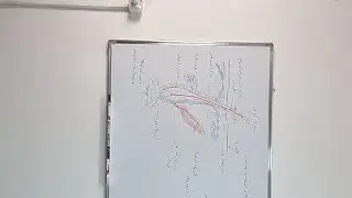 الحلقة الثانية من  كورس مستحضرات  التجميل  والكريمات