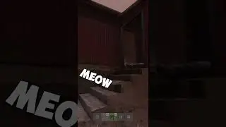 ALWAYS STRESS THE MEAT IN DAYZ