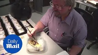 Scientists restore actual sunken treasure from an 1857 shipwreck - Daily Mail