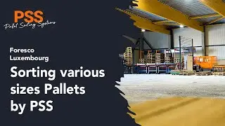 Sorting various sizes Pallets by PSS - Foresco - Luxembourg