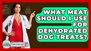 What Meat Should I Use For Dehydrated Dog Treats? - Ask A Pet Vet