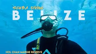 Scuba Diving BELIZE 🇧🇿 Barrier Reef: Hol Chan Marine Reserve 