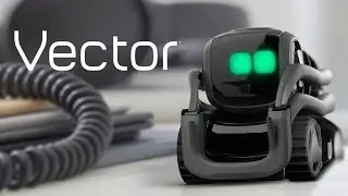 Vector by Anki: A giant roll forward for robot kind Tech World