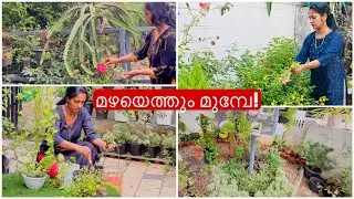 Garden preparation before Rainy Season | Achu&rsquo;s Lifestyle #gardening #floweringplantgarden