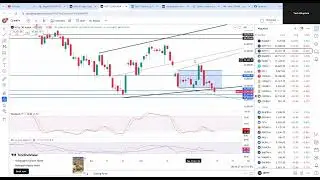 NIFTY\BNF---UPDATE FOR 13TH JAN 2025| BUY FEB 24000CE ONE LOT ?