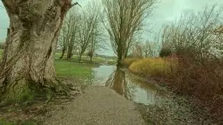 Quiet Park Walk After Rain | Overcast Skies & Natural Ambience | 4K No Talking