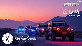 Car Race Anthem 2025 🚀 Ultra Bass EDM & Electro House Mix 🔥 Top Hits for Speed Demons 2025