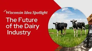 Wisconsin Idea Spotlight: The Future of the Dairy Industry