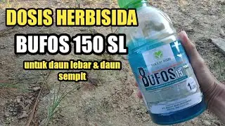 Dosis Herbisida BUFOS 150 SL untuk Gulma Daun Lebar & Daun Sempit