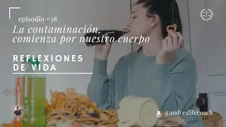 Como contaminamos nuestro cuerpo todos los d&iacute;as (video interactivo)