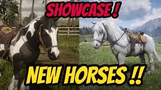 New HORSES! GYPSY COB Showcase !! RDR 2 The Naturalist DLC