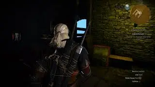 Witcher 3 - A Towerful of Mice Explore the Tower Location