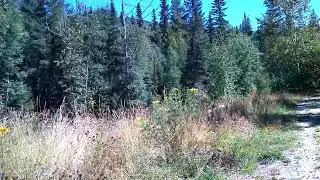Valemount British Columbia