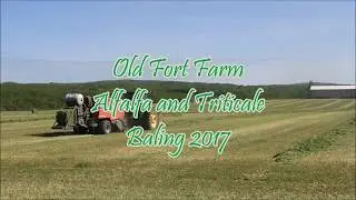 Alfalfa and Triticale Baling