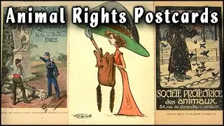 Animal Rights History on Vintage Poscards