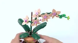【LGK713 Installation Video】Lightailing Light Kit For Mini Orchid 10343