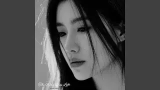 Love Left Me Empty