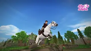 Ich kaufe mir das neue Connemara Pony! 😍💞