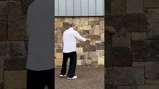 Working on Single Whip #learntaichi #taiji #taichiforbeginners