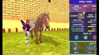 Taming Chestnut Friesien Pegasus