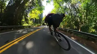 Finish with a bang Twisty road Seattle Eastside Suburbs bombing rim brakes  Spinning out at 48MPH