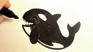 How to Draw an Orca