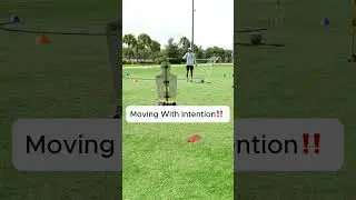 Moving With Intention