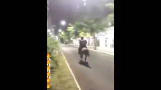 A delivery guy using horse for food delivery in US due to rise of Gasoline price#ukraine #kyiv #киев
