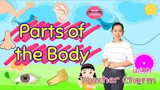 Части тела | Словарь частей тела для детей | Веселая игра с учителем Charm