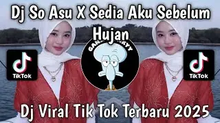 DJ SO ASU X SEDIA AKU SEBELUM HUJAN VIRAL TIKTOK TERBARU 2025 YANG KALIAN CARI !