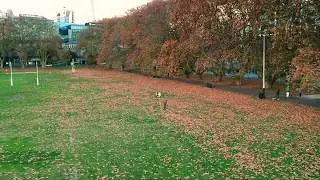 DJI Spark - QuickShot - dronie demo