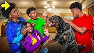 Our NEIGHBOR TRAINED His DOG To Attack US!