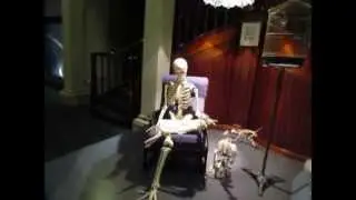Australian Museum Part 2