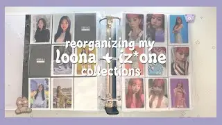 🗒 ❛ REORGANIZING MY LOONA + IZ*ONE COLLECTIONS ༉‧₊˚✧