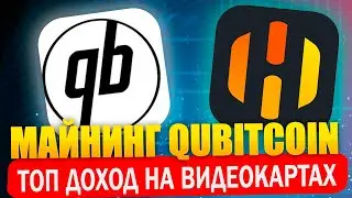 Топ доход. Майнинг Qubitcoin QTC на HiveOS