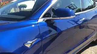 DTLRSHP 2: 2019 Tesla Model 3 Blue Metallic - 2 step correction with Opticoat Pro + Glass