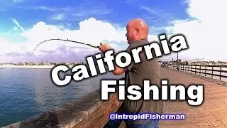 Fishing Seal Beach Pier California - Caught some fish had some fun
