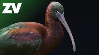 Morning Light & Peaceful Animals 🌿 | Meditative Music for Relaxation