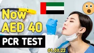 UAE Update | Abu Dhabi Updates Cost of PCR Test | Live Talk Dubai