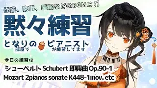 【BGM】ピアニストの黙々練習🎹✨ コメントは休憩中に読みますので、挨拶、質問、応援など何でも書いておいて下さいね🌻 となりの（部屋で）ピアニスト（が練習してます）＃となりのピアニスト #かのにゃーで