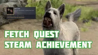 Baldur's Gate 3 Fetch Quest Steam achievement
