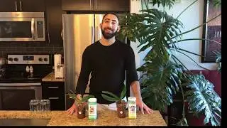 Urea vs. Urea Free Experiment: Semi-Hydroponics (Part Two)