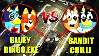 MON DRONE À TROUVÉ BLUEY.EXE ET BINGO.EXE VS BANDIT & CHILLI DANS LA VRAIE !!