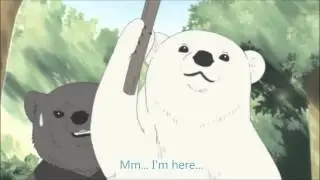 しろくまカフェ　シロクマくん　「My Dear」