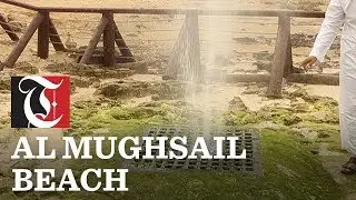 Al Mughsail Beach