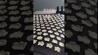 WENVA Baked Potato Chips Hard Biscuit Production Line