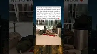Military Dog Stands Guard As Soldier Sleeps At Airport