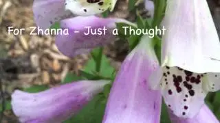 For Zhanna -- Just a Thought [Original Piano Instrumental]