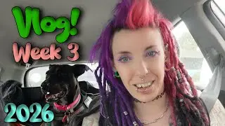 VLOG week 3 of 2026 | Water filter, Pickles broke a toe, hair dying, painting a popsocket